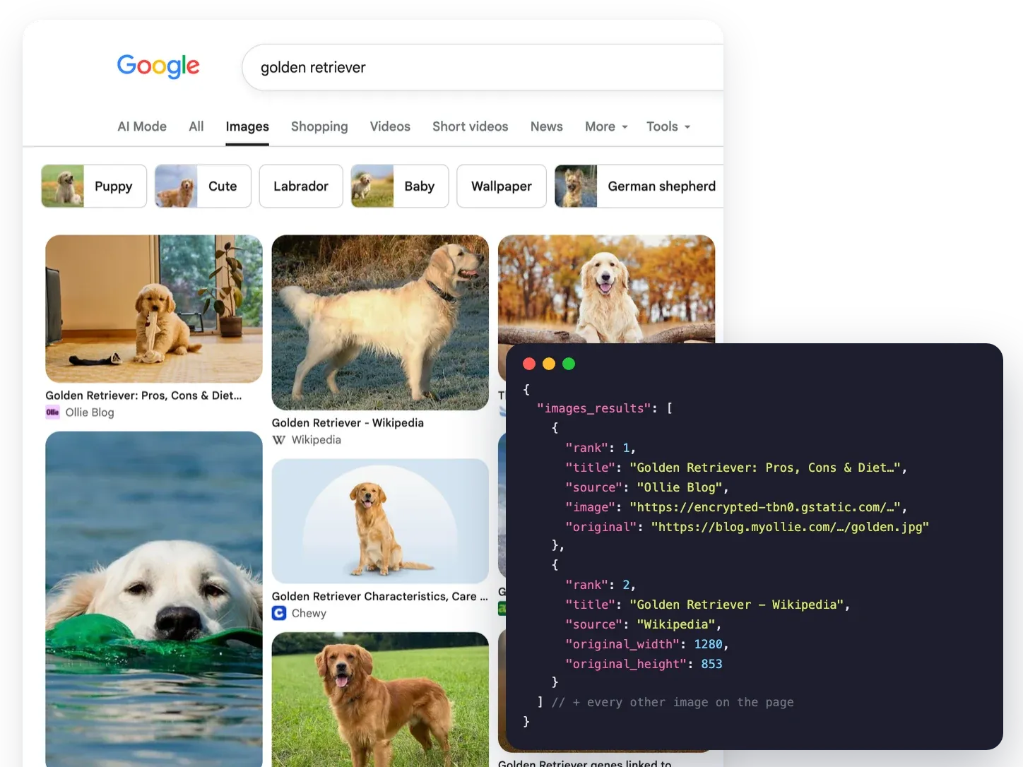 Google Images results for "golden retriever" next to the matching images_results JSON from the Google Images API