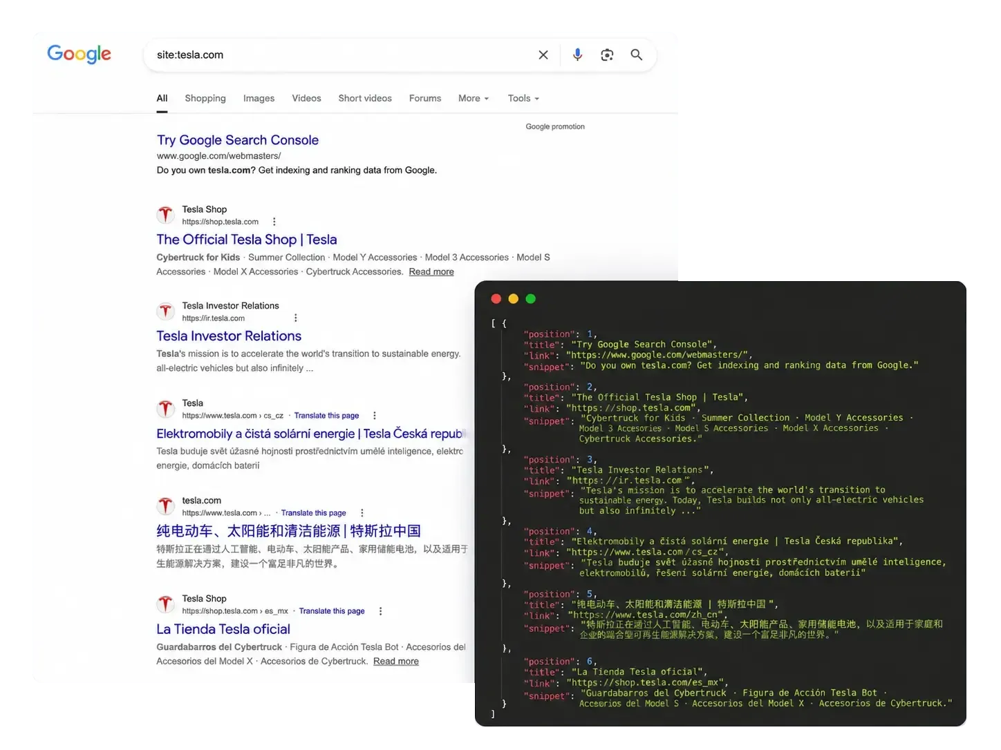 Google SERP position tracking data returned as structured JSON