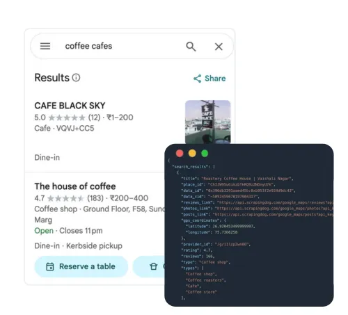 Google Maps local search results returned as structured JSON