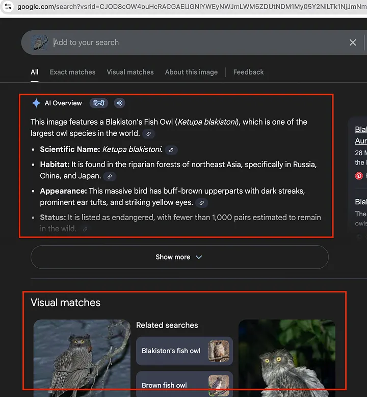 ai overviews serp screen
