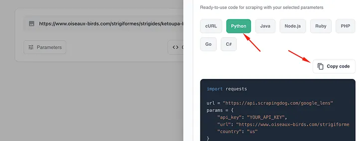 google lens dashboard