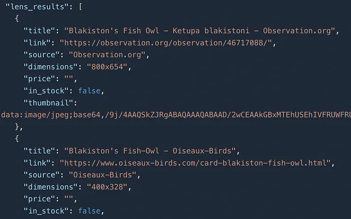 google lens json data