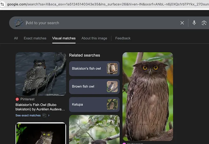 visual matches from google lens