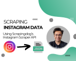 Instagram Scraper API
