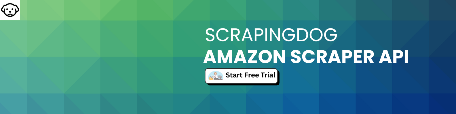 Google Scraping API (1)