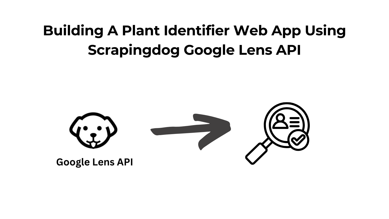 Plant Identifier Web App
