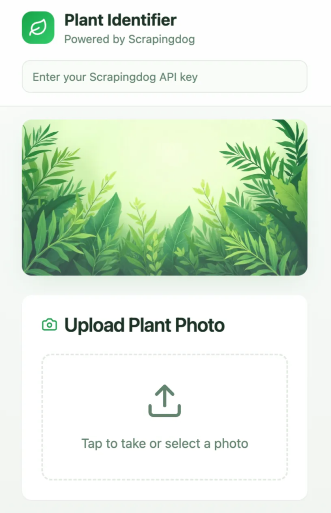 plant identifier image