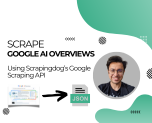 Google ai overviews scraping