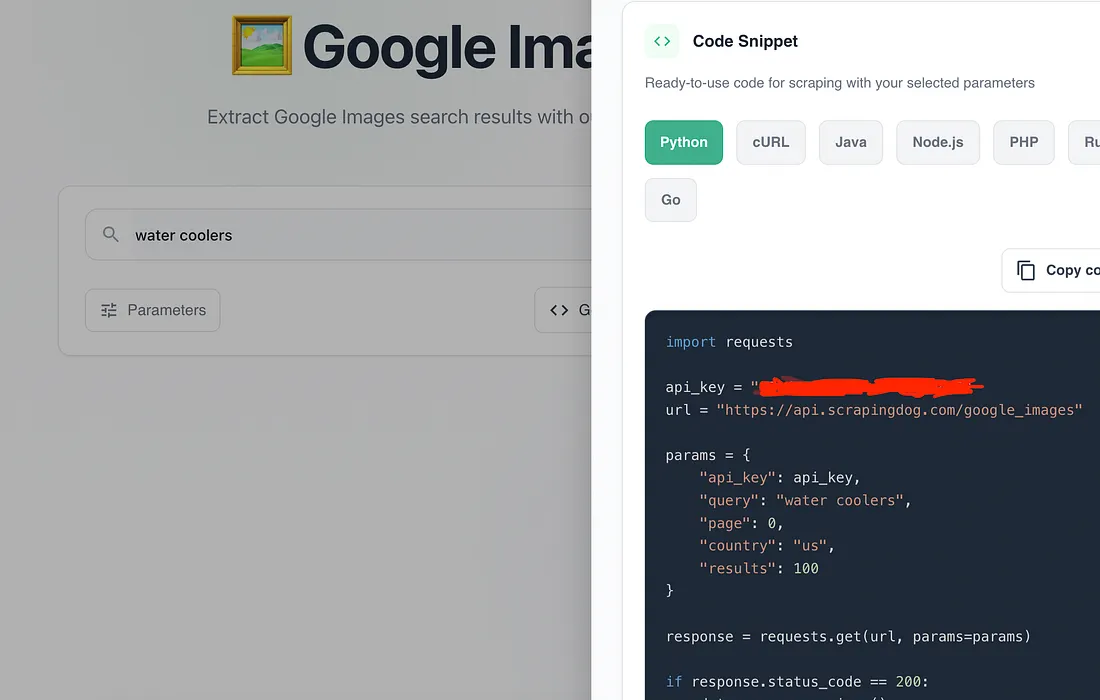 Scrapingdog dashboard